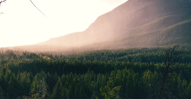 The 30-Second Exercise to Stimulate Your Vagus Nerve and Calm Your Mind