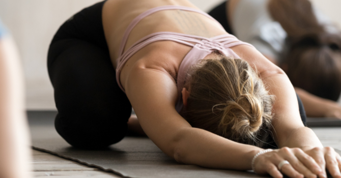 Maintenance Chiropractor in Tampa